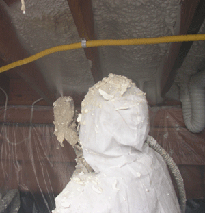 Mississauga ON crawl space insulation